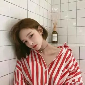 重返·狼群